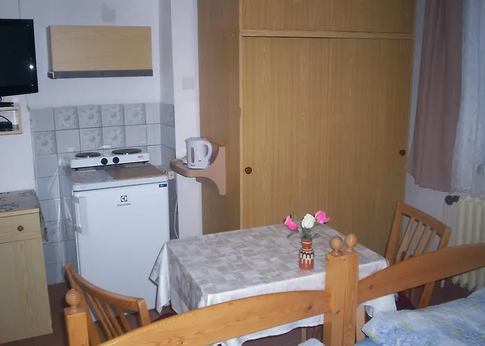 Guest house Hainis Janske Lazne